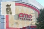 Rat Infestation Shuts Jersey City AMC Theater
