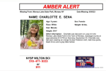 AMBER Alert Activated For 9-Year-Old Girl Who Went Missing At State Park In NY