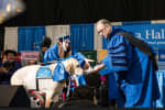 Good Boy! Mahwah Grad's Service Dog Gets Diploma From Seton Hall University