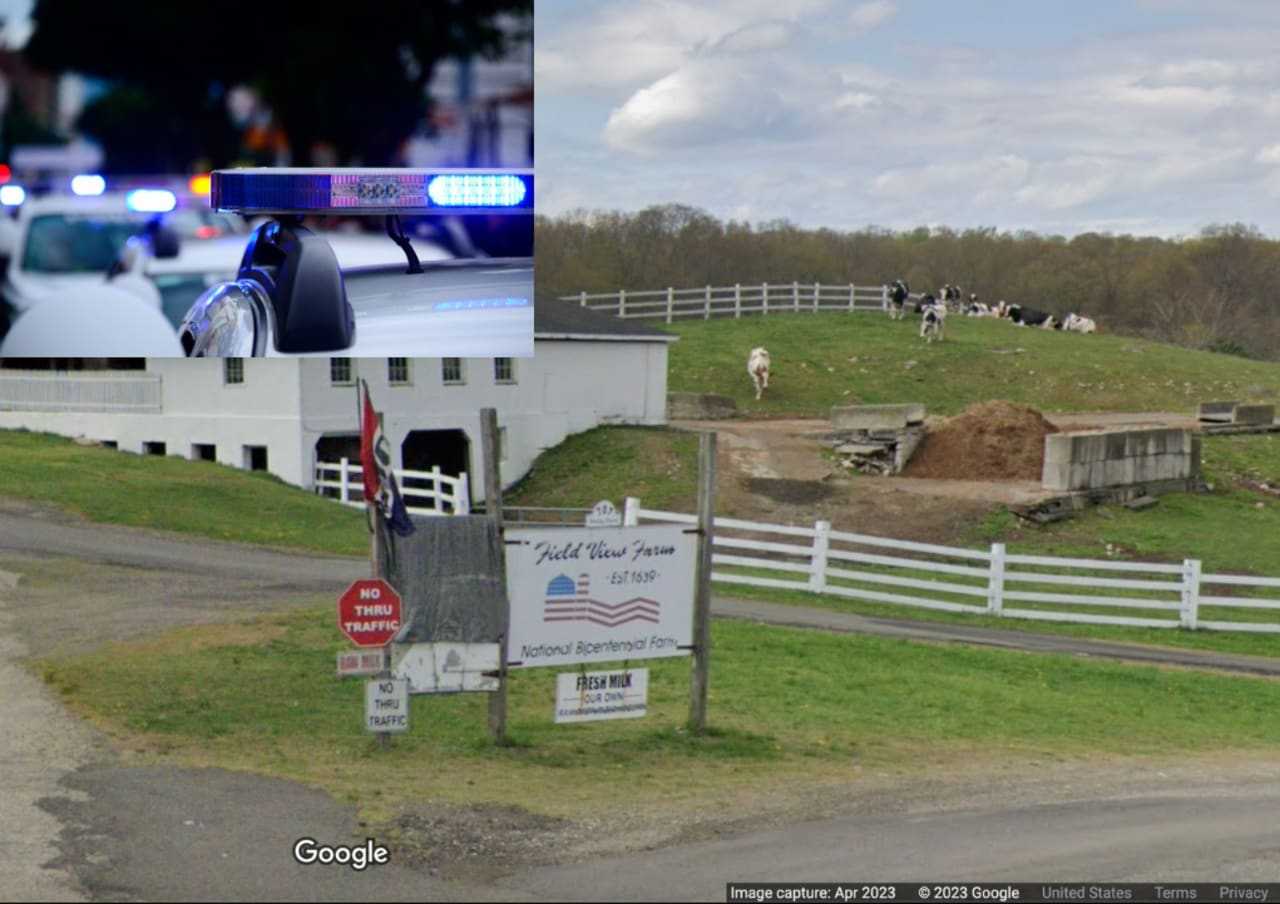 Farmer Pistol-Whipped, Robbed Before Milking Cows In CT: Suspects At Large