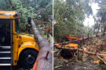 New Update: Fallen Tree Hits School Bus, Leaves 25 Children Stranded In Hudson Valley