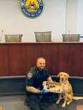 K9 Officer Finds Loaded Illegal Gun During Traffic Stop In Mamaroneck