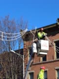 Tis The Season: Holiday Lights Going Up In Downtown Danbury