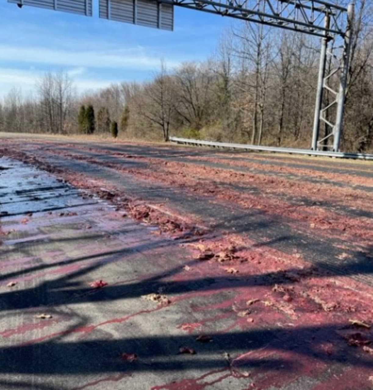 Chicken Waste Spill Causes HazMat Situation Along South Jersey Highway