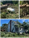 Tornado Throws Tree Onto 84-Year-Old PA Widow's Home, Fund Says