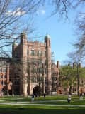 Yale University, Professor To Pay $1.5M To VA: Failed To Share Patent Royalties, Feds Say