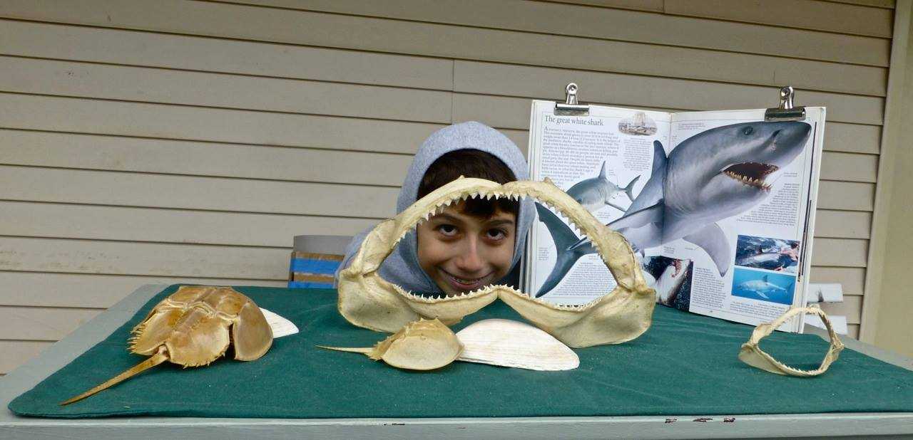 To learn more about the center please visit and like their Facebook page here: https://www.facebook.com/groups/marineedcenter/.