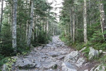 Injured Mass Man Rescued From Mount Washington After Fall On Hiking Trail