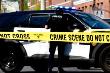 Member Of 'Hit List' Burglary Crew That Targeted Asian Homeowners In NJ, NY, PA, DE Cops Plea