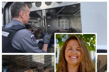 100 Animals Seized From 'Rescuers' In Horrific Loudoun County Cruelty Case: Officials
