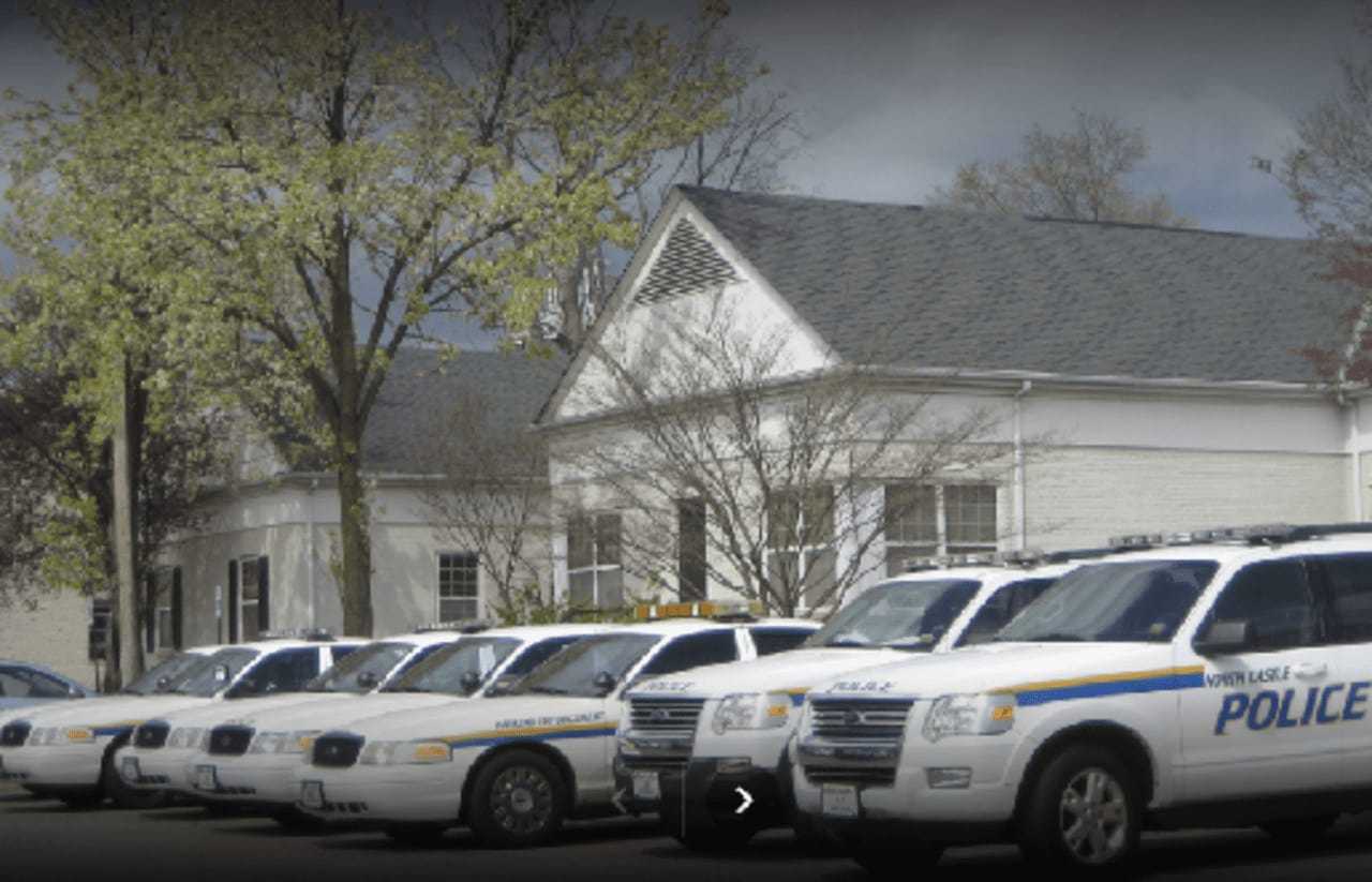 Rabid Skunk, ATV Crash Into Mailbox Among North Castle Police Reports