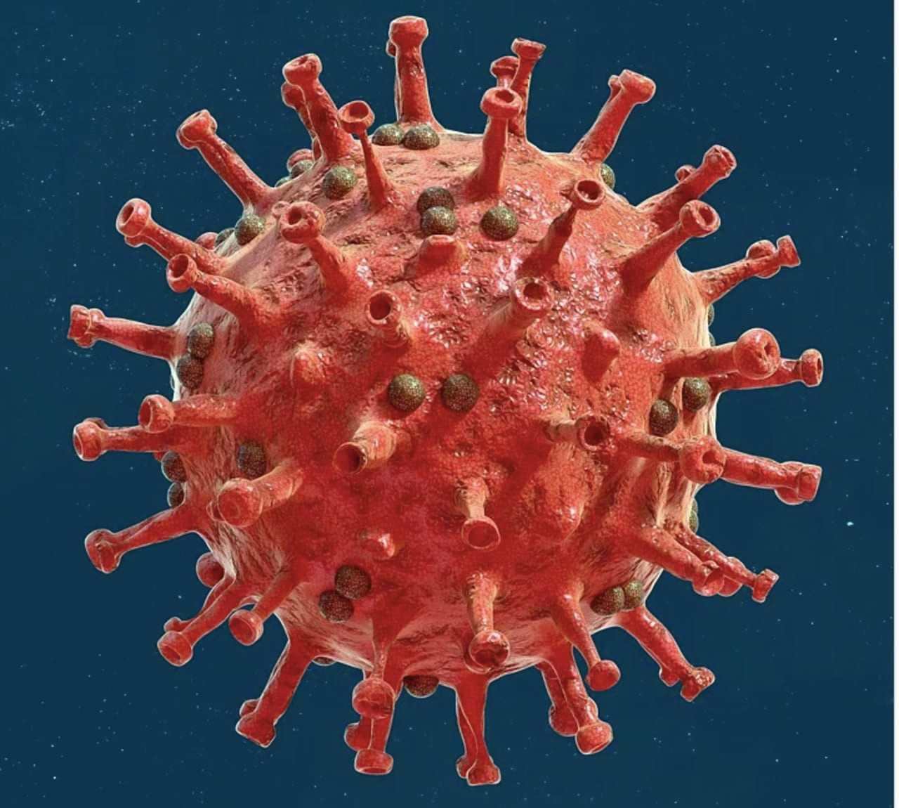 COVID-19: 12 Symptoms Of Long COVID Revealed In New Study