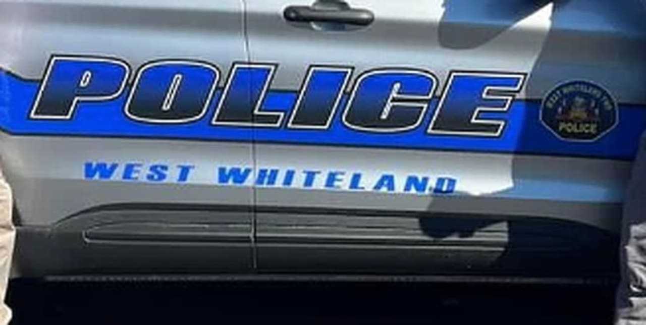STANDOFF: 84-Year-Old Woman Arrested After Hours-Long Barricade Situation In West Whiteland