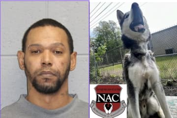 CT Man Charged With Animal Cruelty After Husky Found With Chain Embedded In Neck