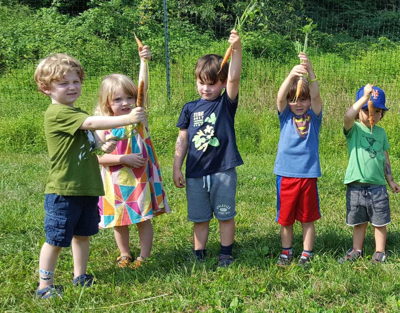 Common Ground Farm Celebrating 16th Year With Harvest Gala
