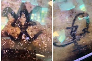 Police Hope 'Distinguishing' Tattoos Help ID Body Found In Maryland