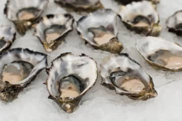 Contaminated Oysters: FDA Warns Pennsylvania Restaurants, Stores Warned To Not Sell Shellfish