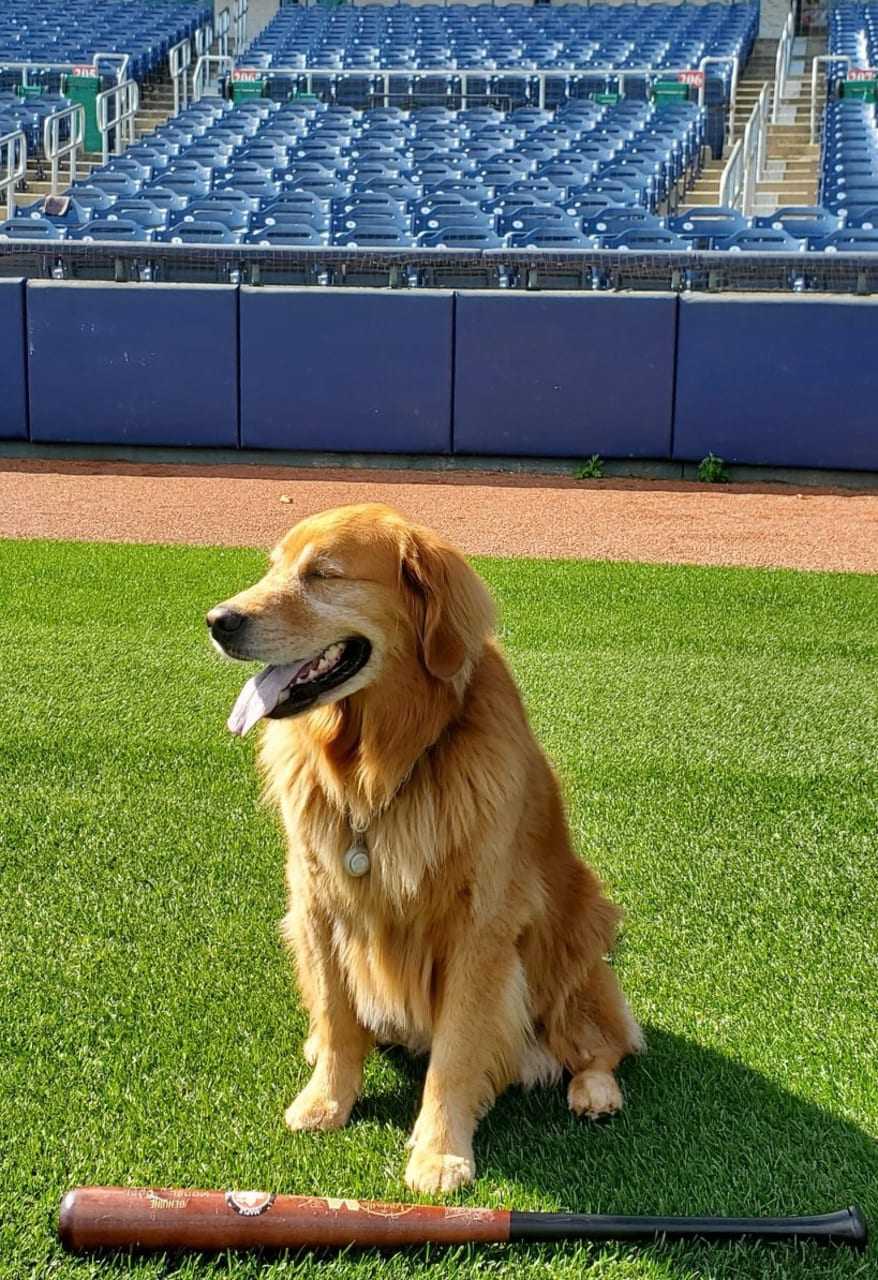 The Yankees did the Trenton Thunder wrong - Pinstripe Alley