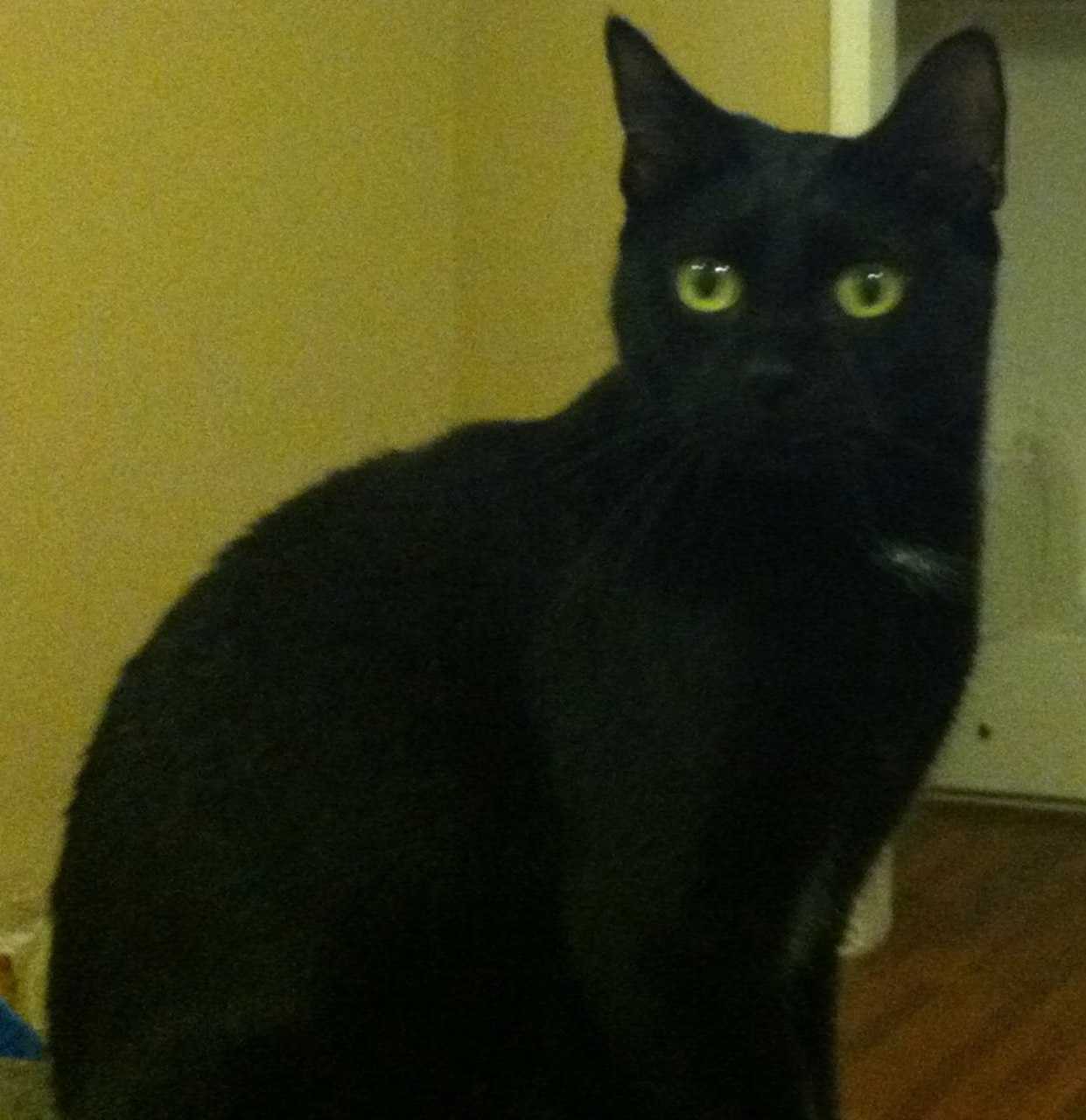Suki.