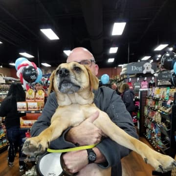 A man brings his do to the recent opening of a Pet Valu store in Pennsylvania. The chain will open its 300th store on Saturday in New Canaan.
