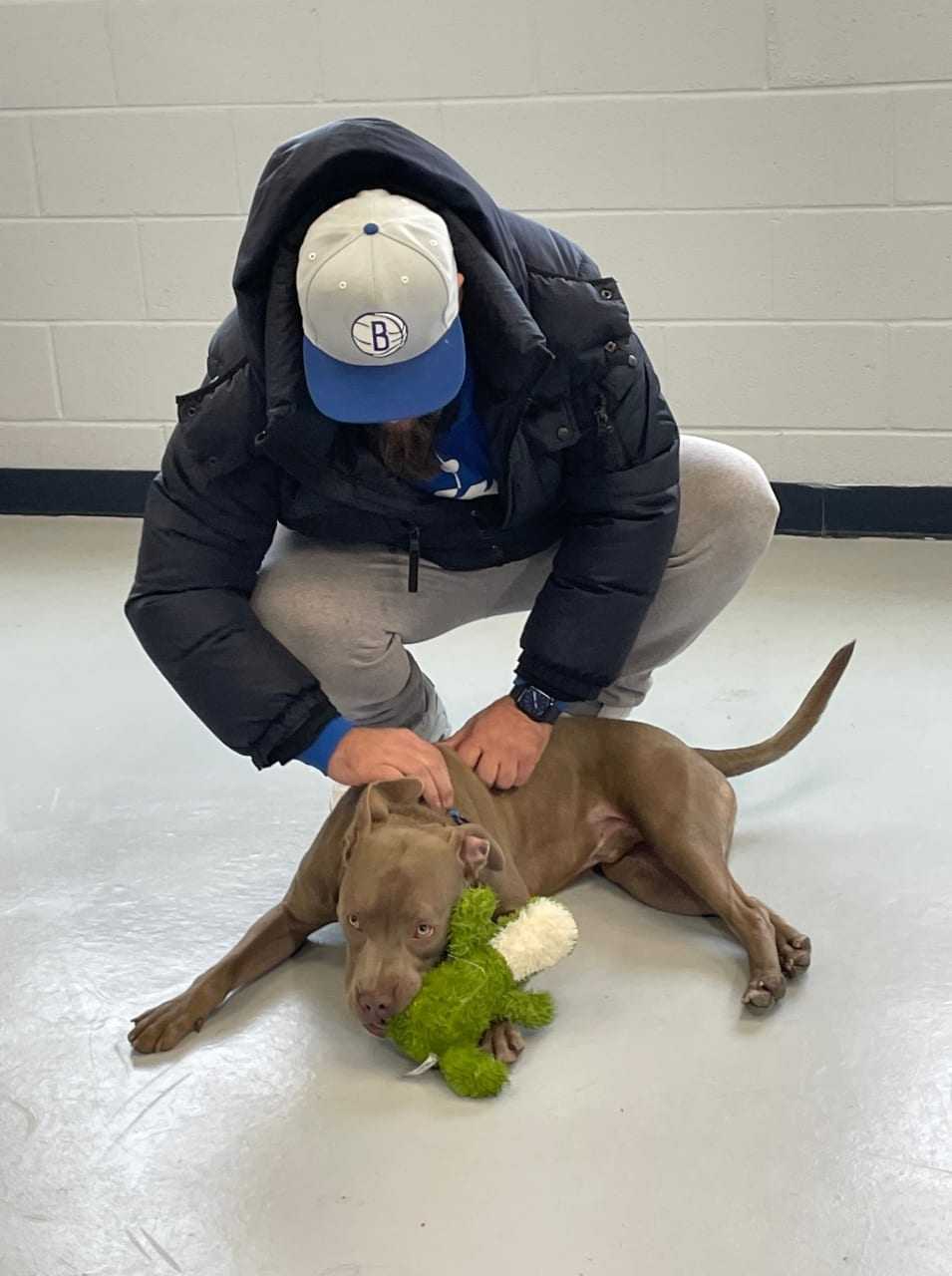 Maximus, a 9-month-old pitbull puppy who was previously seen in a viral video being abused, was adopted by a Yonkers couple.