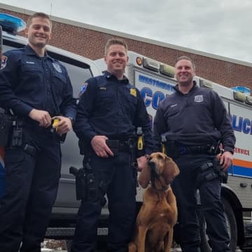K-9 officer Madison, a bloodhound, helped catch two of the armed robbery suspects under a porch in Mount Vernon.