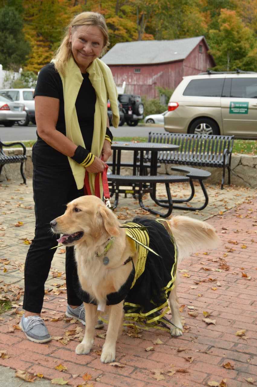 The Newtown-Strong Therapy Dogs — including this one dressed as a bee — are a popular sight at the sixth annual Passport to Sandy Hook event held by the Sandy Hook Organization for Prosperity.