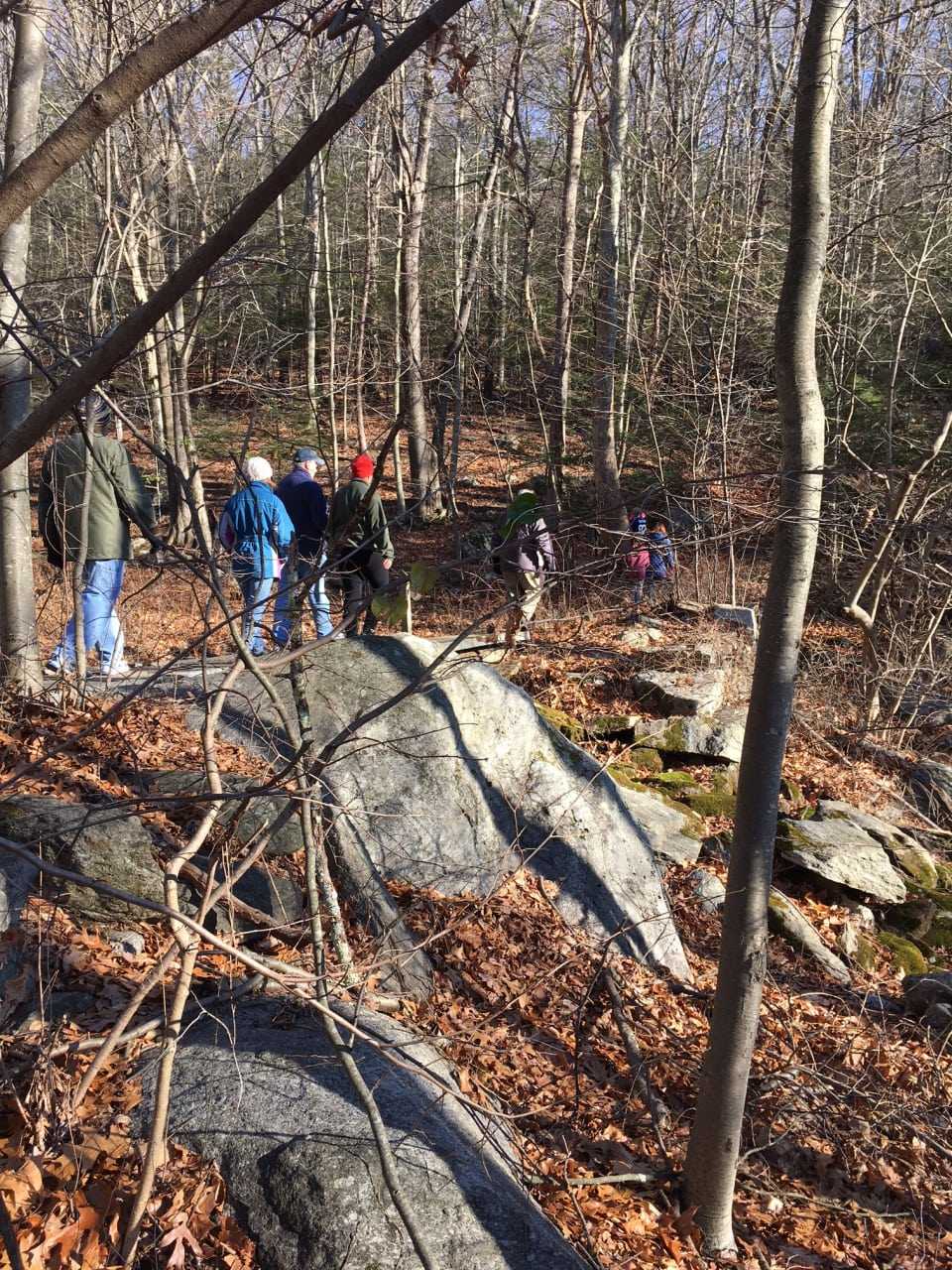 Hikers enjoy a walk in the woods on New Year's Day at Osbornedale State Park in Derby.