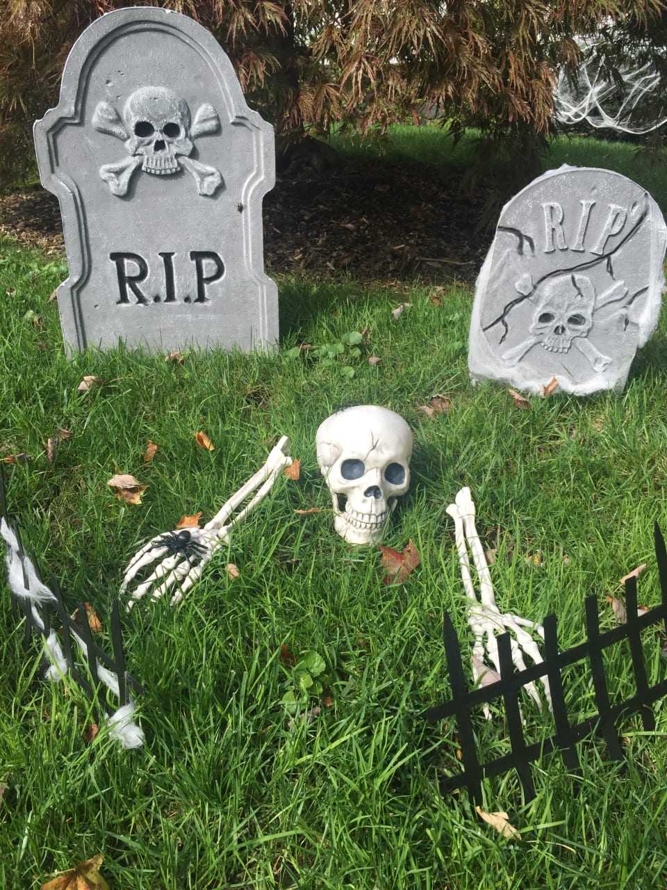 Do you decorate your house crazy for Halloween?