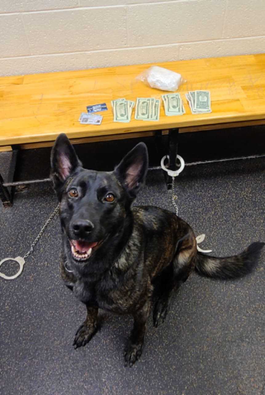 New York State Police arrested a man with more than 14 ounces of cocaine during a traffic stop on I-90 in Orange County.