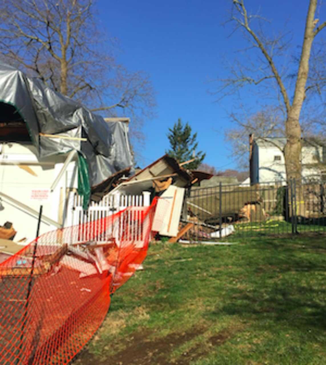The tree that crashed in to 28 Elmbrook Drive can be seen behind the fence. No one was hurt but the couple are looking for their cat "Lily" who hasn't been seen since Sunday.