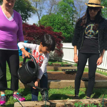 Sarah Lusman and Suzanne Zakka watch as a Putnam Indian Field student waters a garden.