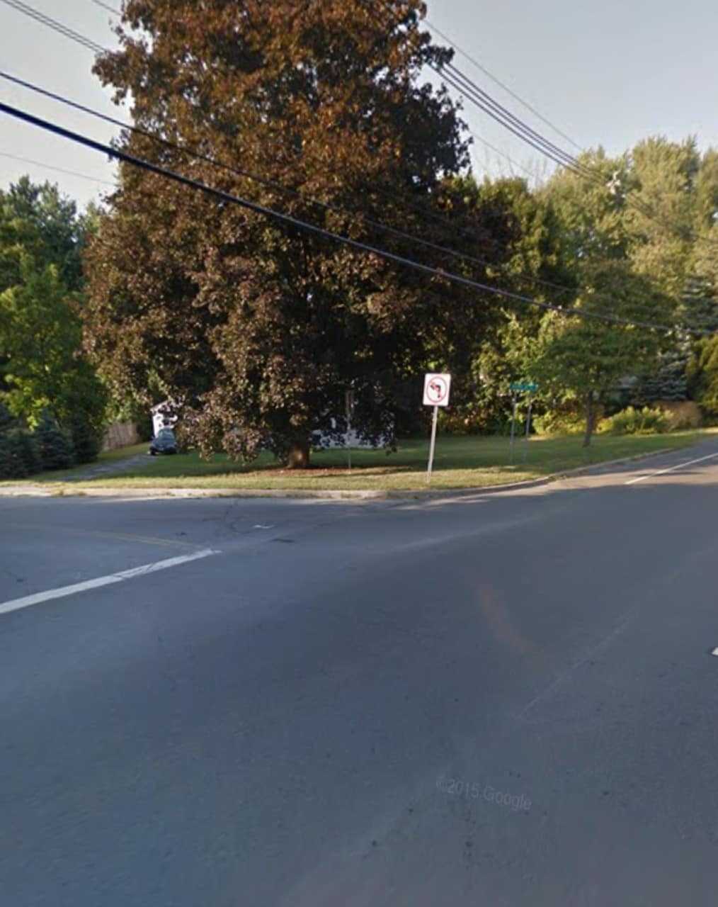 Rapalje Road and Route 52 in Fishkill.