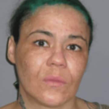 Nicole Doble, 37, of Rhinebeck was charged with first-degree robbery early Monday in Hyde Park in connection with Sunday night's holdup of a Citgo gas station on Mill Street.