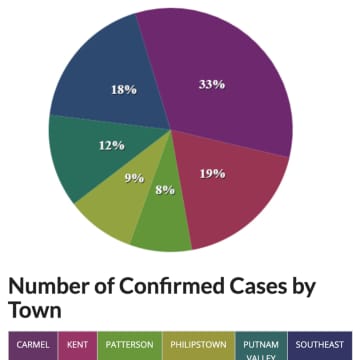 A breakdown of COVID-19 cases in Putnam County by percentage.