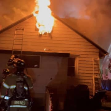 Multiple pets were saved in Stamford when a fire broke out in an area home.