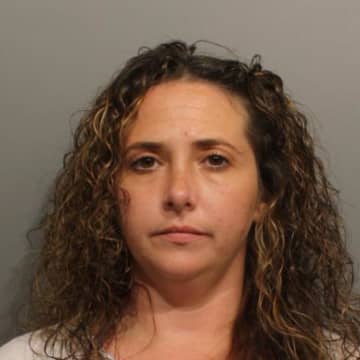 Shelli Shapiro was charged with identity theft after police said she tried to cash a stolen check. 