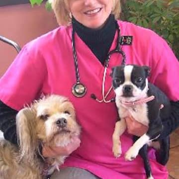Dr. Susan Christopher of the Hudson Veterinary Hospital says the Paws Crossed-HVH wellness plans provide everything an adopted pet needs in its first year.