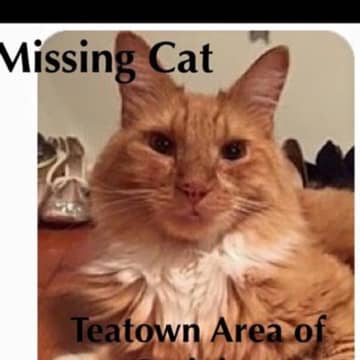 "KC" last seen in the Teatown area of Ossining is missing.