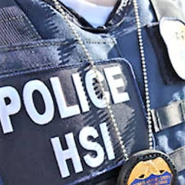 U.S. Homeland Security Investigations