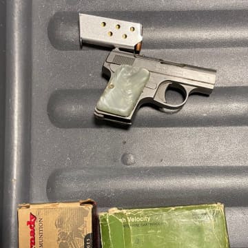 The seized gun and ammunition.