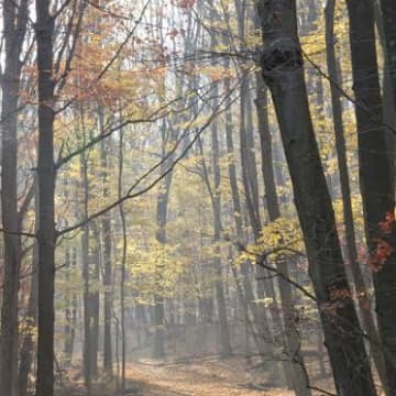 Pound Ridge has a variety of trails made great for hiking. 