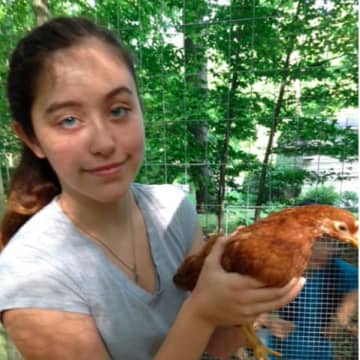 Anna Clark of Wilton is considering entering her Rhode Island Red in Wilton's Cannon Grange Agricultural Fair scheduled for Sunday, August 30.
