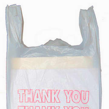 Three Westchester municipalities have banned plastic bags. Should Tarrytown and Sleepy Hollow follow?