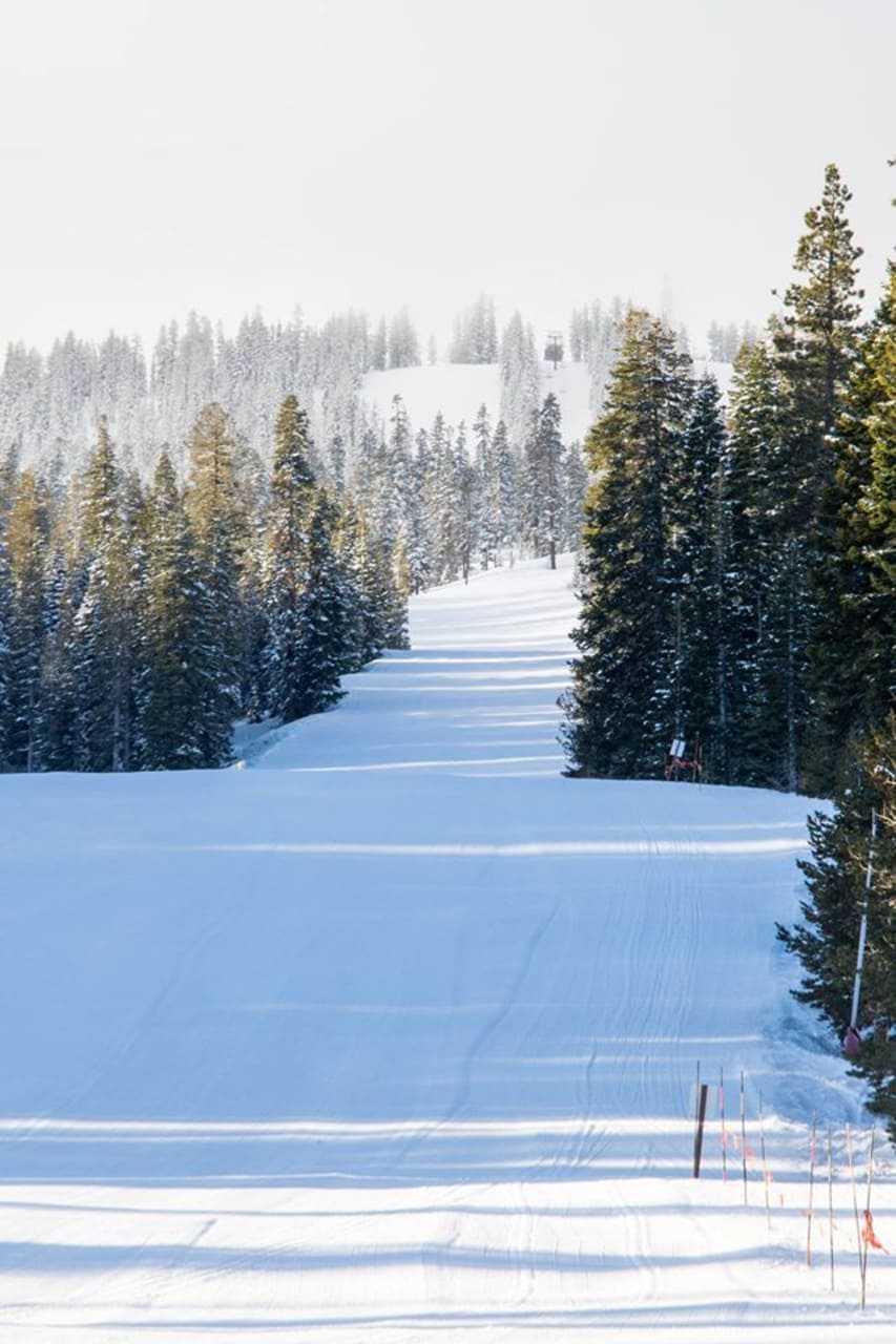 Michael North, 43, of New Canaan died in a snowboarding accident Thursday at Northstar California Resort in Truckee, Calif.