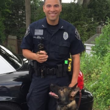 New Canaan police Officer David Rivera, and K-9 Apollo, have worked together on narcotics and missing child cases. The police department is trying to raise $100,000 for a second police dog and its training and equipment.