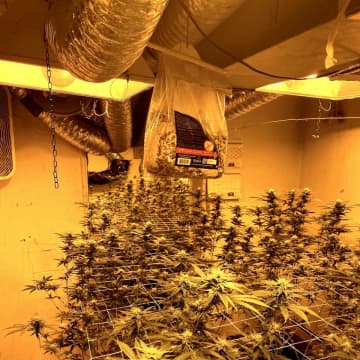 Hackensack marijuana grow house