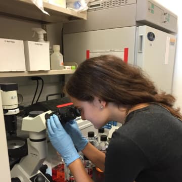 Bronxville High School junior Isabela Lamadrid was one of 15 of more than 500 students that were chosen to participate in the Human Oncology and Pathogenesis Program.