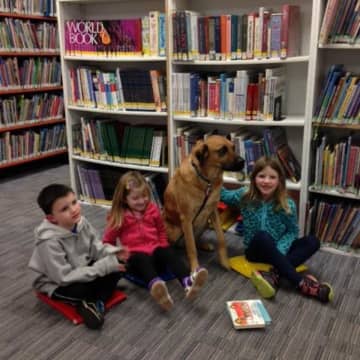 Children can read to Rocky, a therapy dog, at the West Milford Township Library.
