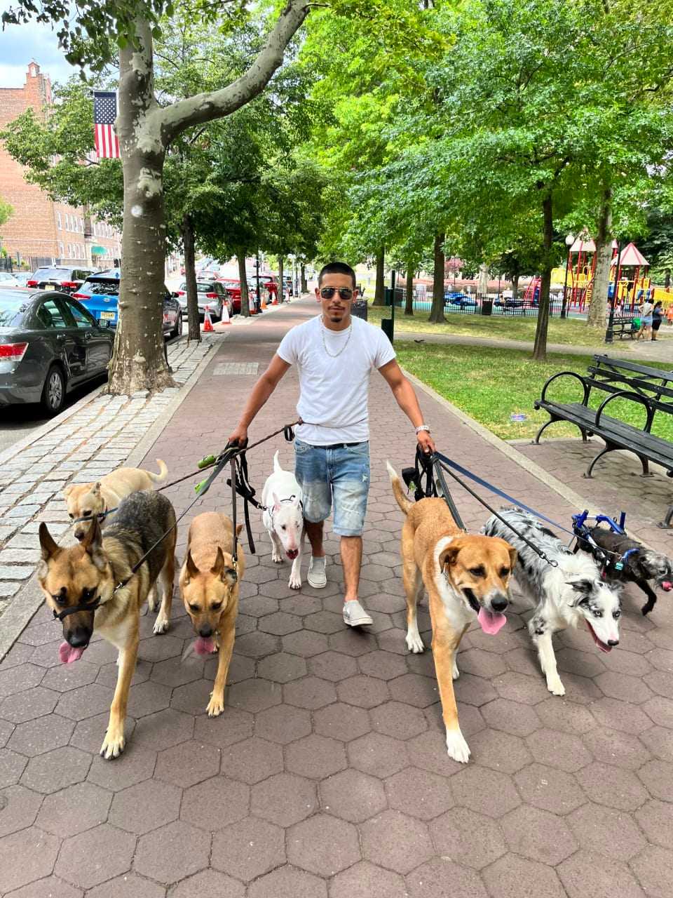 NJ Dog-Walker's Fatal Motorcycle Crash Devastates Clients